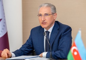Президент COP29: Азербайджан взял курс на зеленое будущее через диверсификацию источников энергии